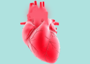 Best Cardiologist in Oodnadatta