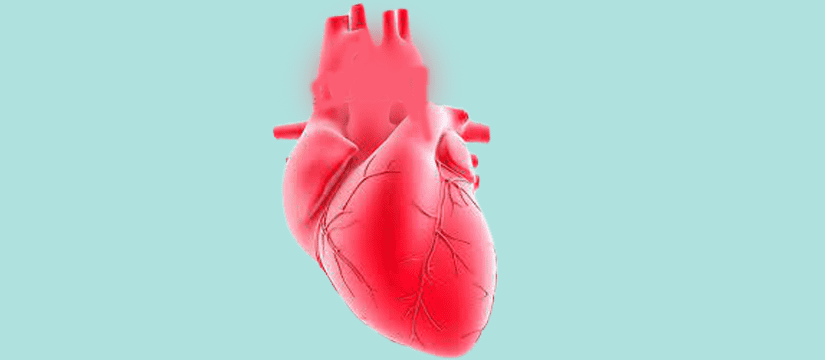 Best Cardiologist in Oodnadatta