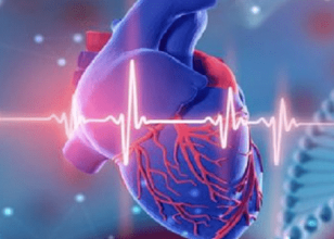 Best Cardiologist in Penrith