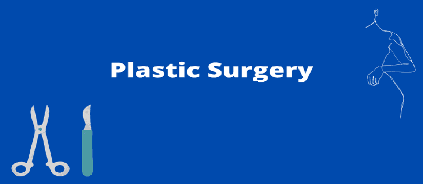 Best Plastic Surgeon in Moonie