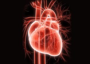 Best Cardiologist in Wagga Wagga