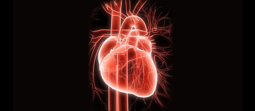 Best Cardiologist in Wagga Wagga