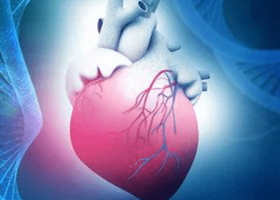 Best Cardiologist in Engadine