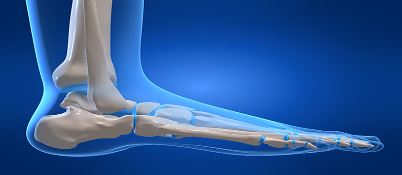 Best Podiatrist in Charleville