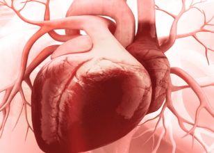 Best Cardiologist in Hobart