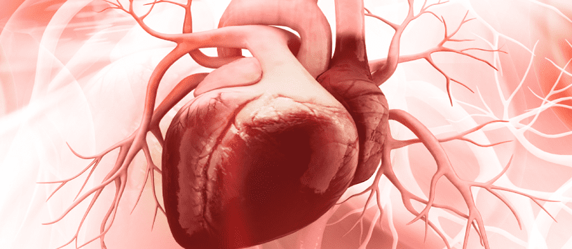 Best Cardiologist in Hobart