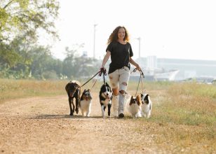 Four Mutual Benefits Owners Can Get From Dog Walking